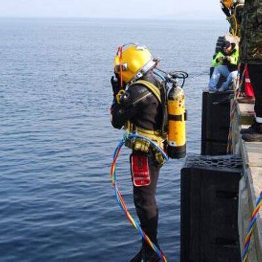 Representative imagery for DKG DIVING